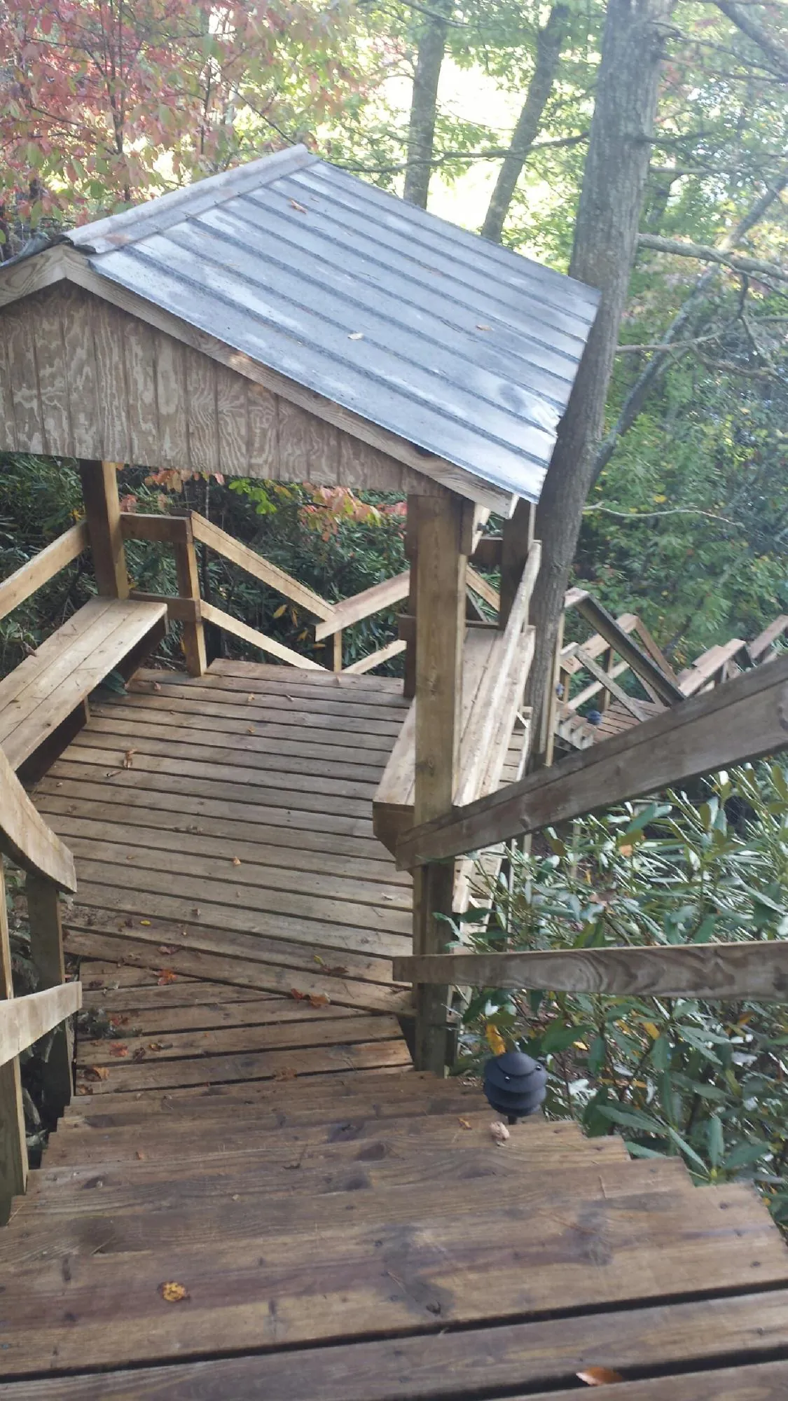 Metal roofed shelter over wooden steps on a wooded walkway — Skylight Repair & Installation work by our crew in Placida