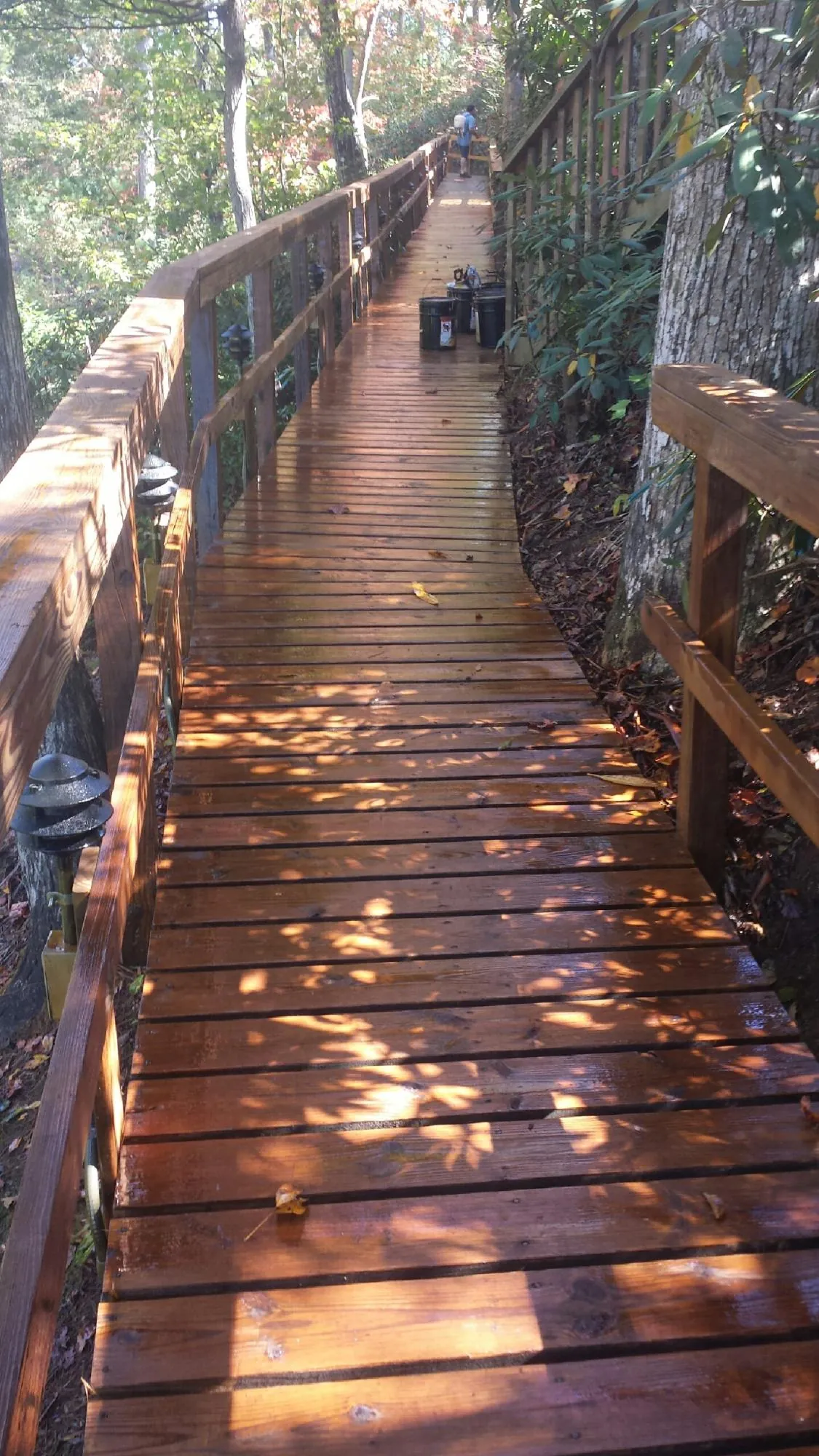 Freshly stained wood walkway winding through the woods in Placida